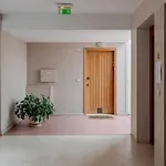 Apartamento Ocean Bliss - & Bbq Viana do Castelo