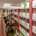 Ocean Bliss - & Bbq *